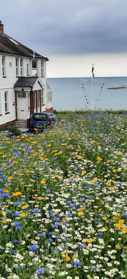 Cliff Haven Villa Borth Exterior photo